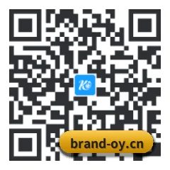 系统版 iOS 二维码